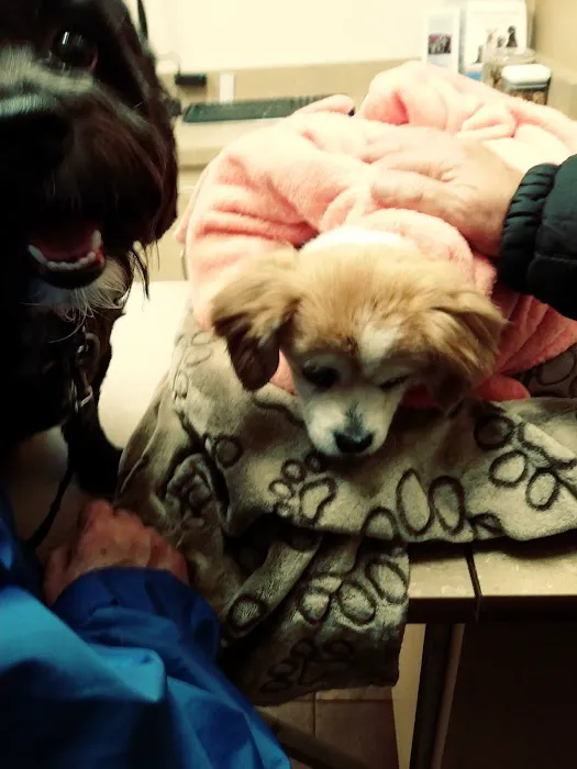 Lovet Pet Health Care - Norterra Picture 10