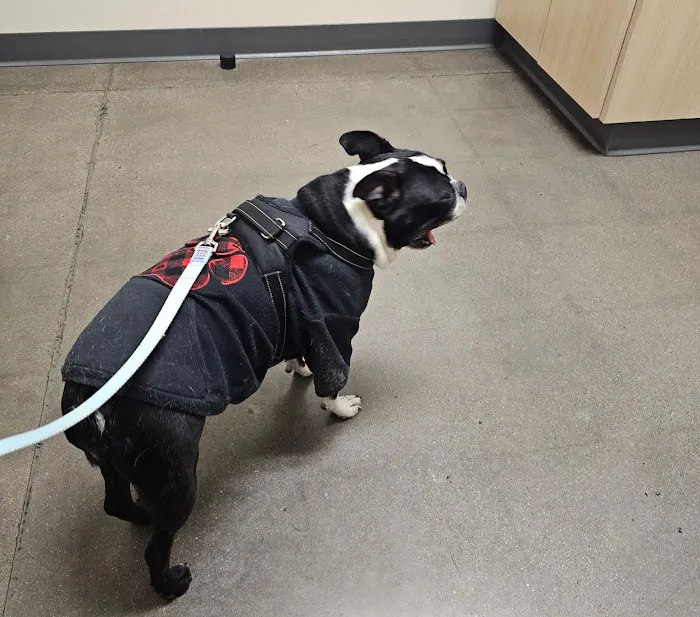 Vetco Total Care Animal Hospital Picture 1