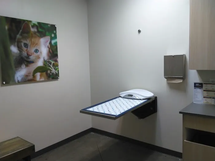 Vetco Total Care Animal Hospital Picture 5