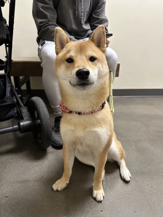 Vetco Total Care Animal Hospital Picture 8