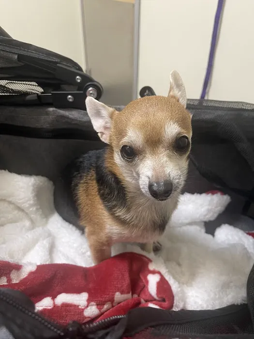 Vetco Total Care Animal Hospital Picture 7