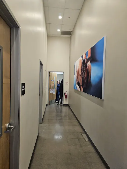 Vetco Total Care Animal Hospital Picture 10