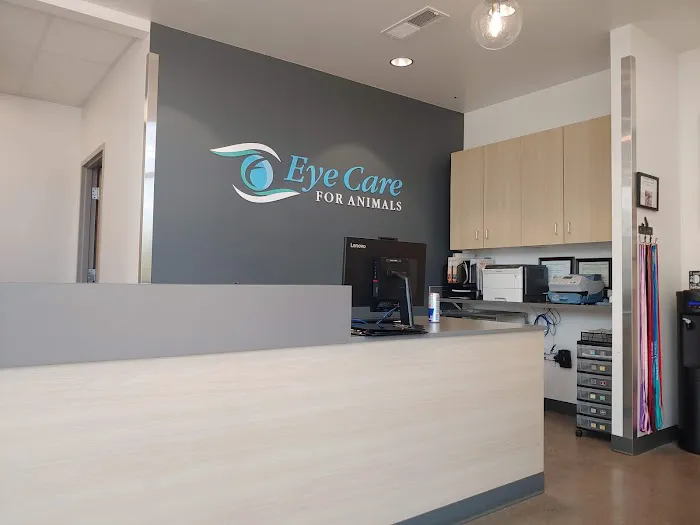 Eye Care for Animals - Phoenix Picture 8