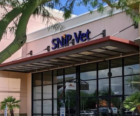 SNiP Vet - Spay Neuter in Phoenix