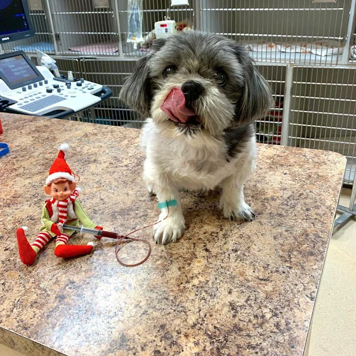 Animal Medical Center of Deer Valley Picture 10
