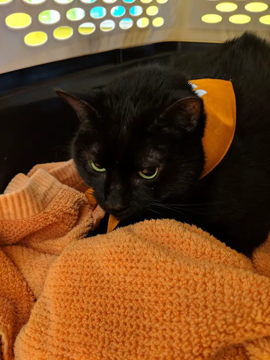 Banfield Pet Hospital Picture 1