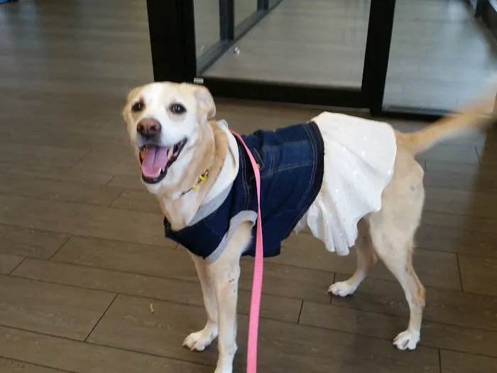 Banfield Pet Hospital Picture 5