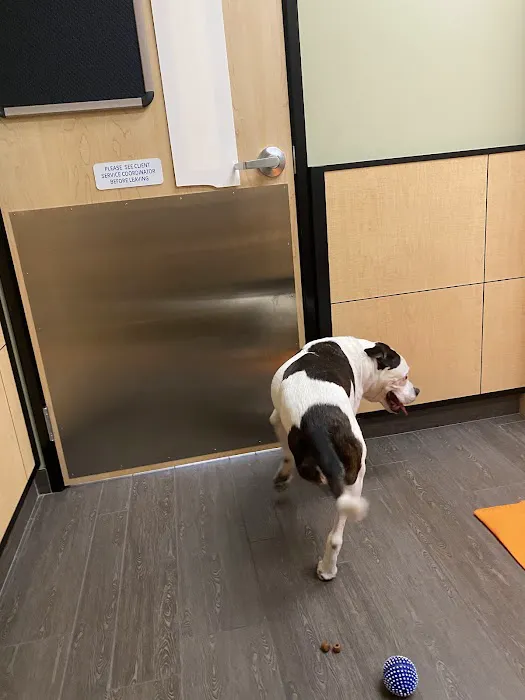Banfield Pet Hospital Picture 9