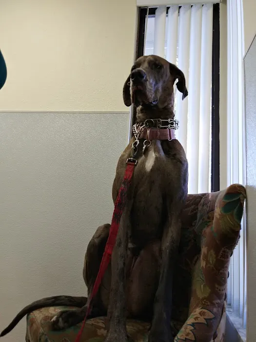 Loving Care Animal Hospital Picture 3