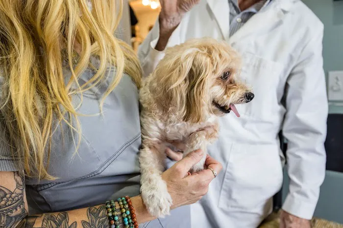 Community Veterinary Hospital Picture 1