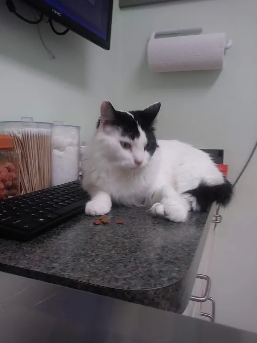 Animal Care Clinic of Largo Picture 6