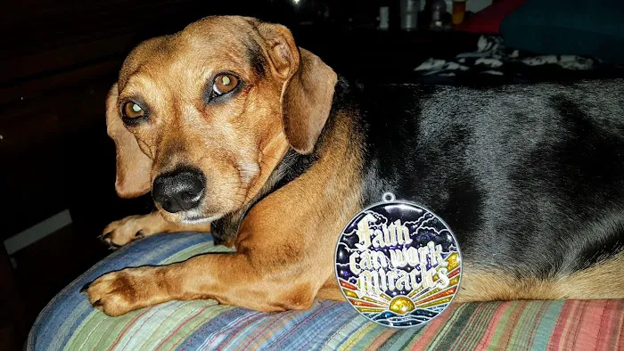 Animal Hospital of West Bay Picture 7