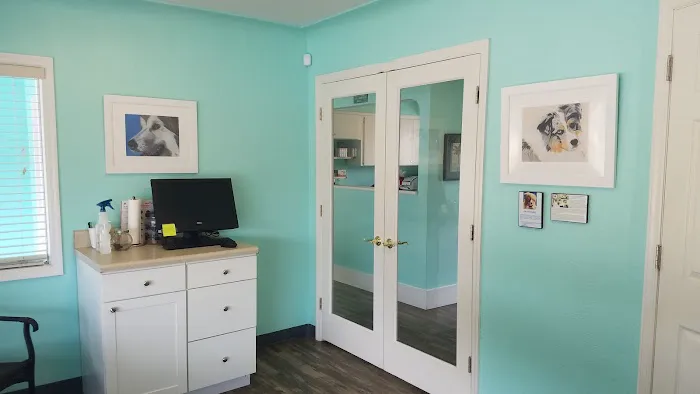 Animal Hospital of West Bay Picture 10