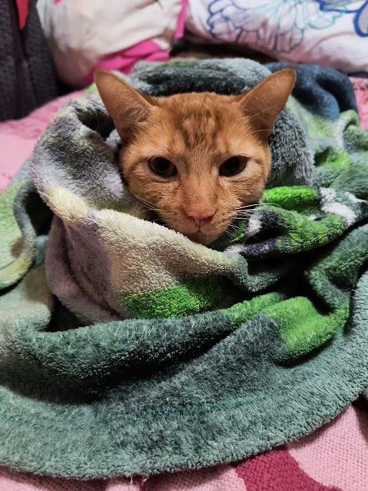 Banfield Pet Hospital Picture 6