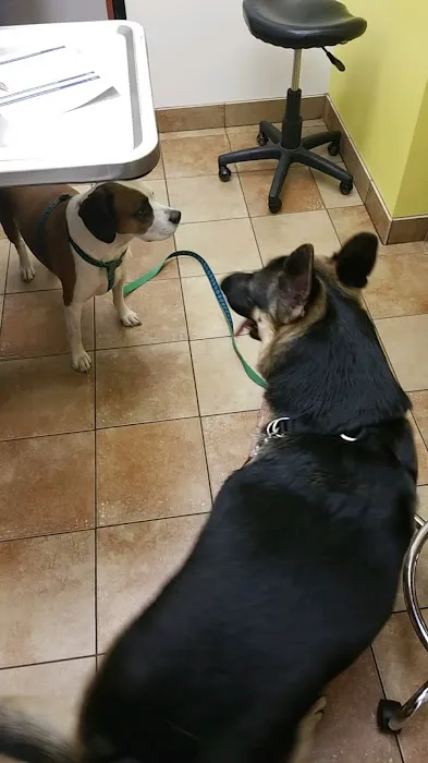 Banfield Pet Hospital Picture 10