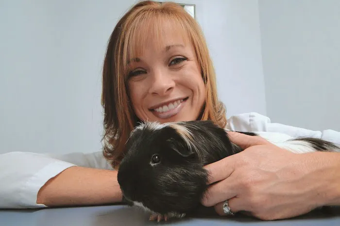 Avian and Animal Hospital Picture 1