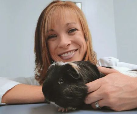Avian and Animal Hospital