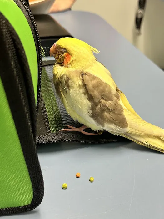 Avian and Animal Hospital Picture 8