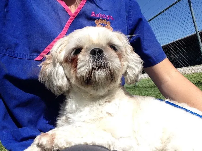 Thomas Animal Hospital Picture 9