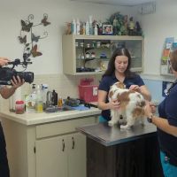 Park Animal Hospital Inc ico
