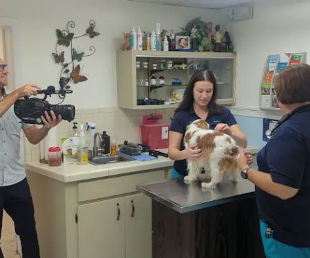 Park Animal Hospital Inc