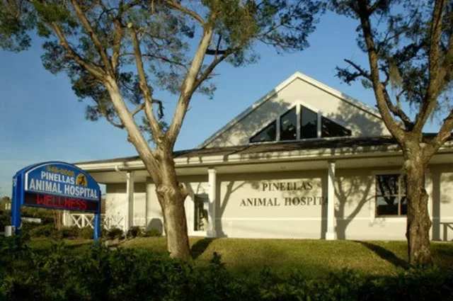 Pinellas Animal Hospital Picture 2