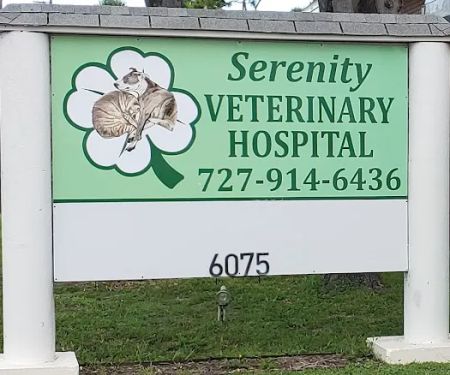 Serenity Veterinary Hospital