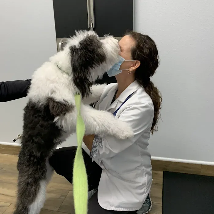 Cornerstone Veterinary Hospital Picture 1