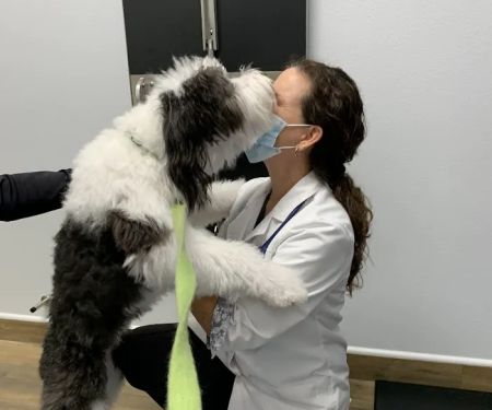Cornerstone Veterinary Hospital