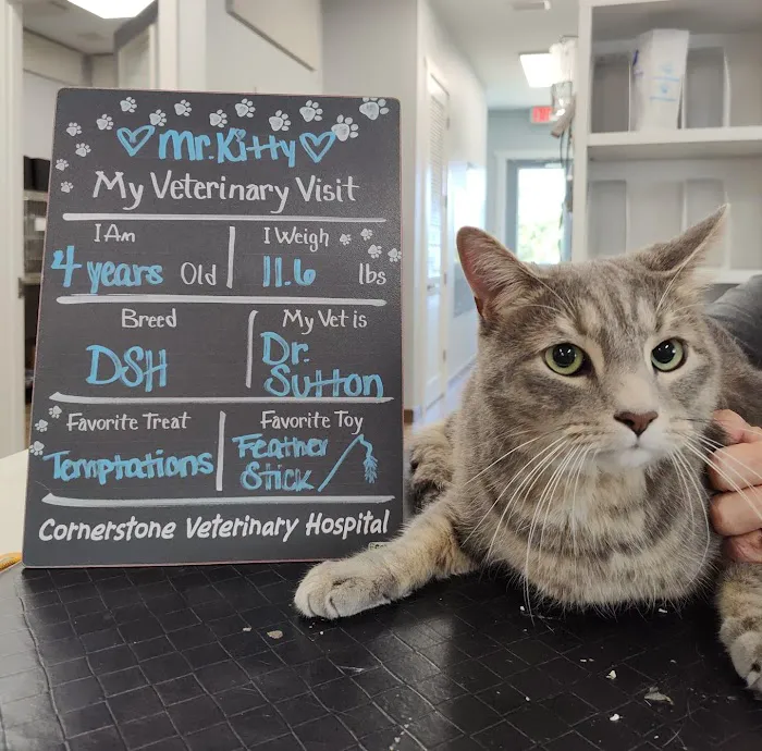 Cornerstone Veterinary Hospital Picture 9
