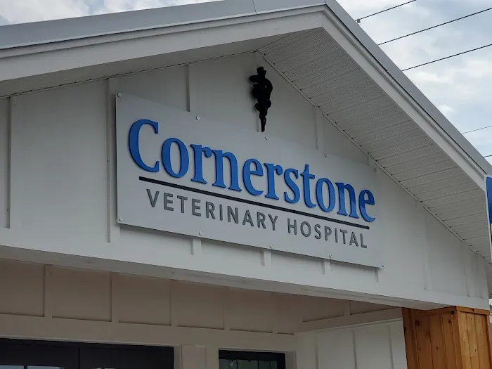 Cornerstone Veterinary Hospital Picture 10