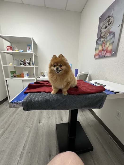 Pearly Bites Veterinary Picture 2