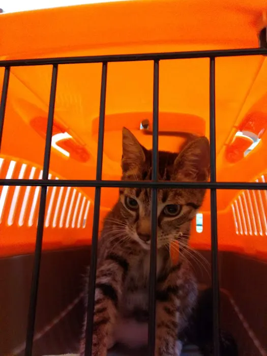 Midway Animal Hospital- Largo Picture 10