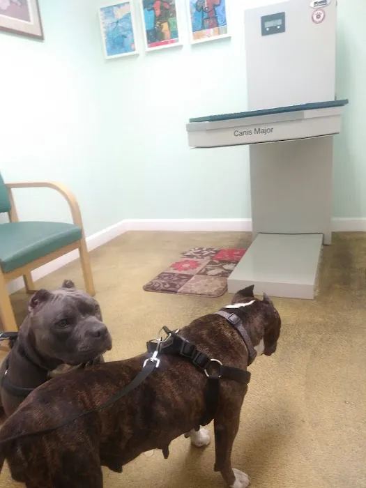 Coastal Paws Veterinary Hospital Picture 1