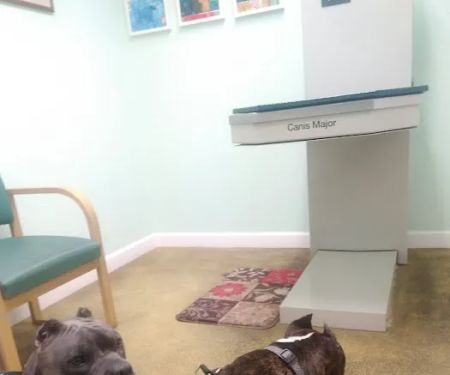 Coastal Paws Veterinary Hospital