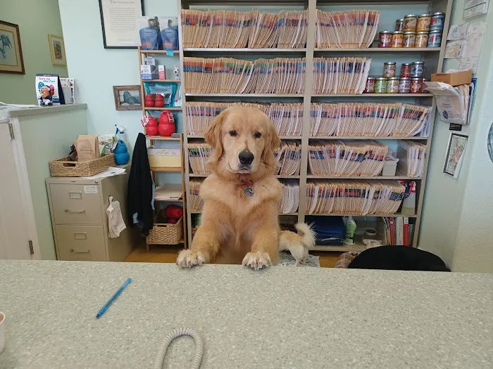 Coastal Paws Veterinary Hospital Picture 2