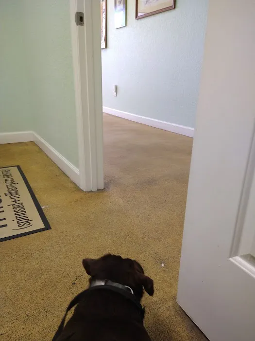 Coastal Paws Veterinary Hospital Picture 6