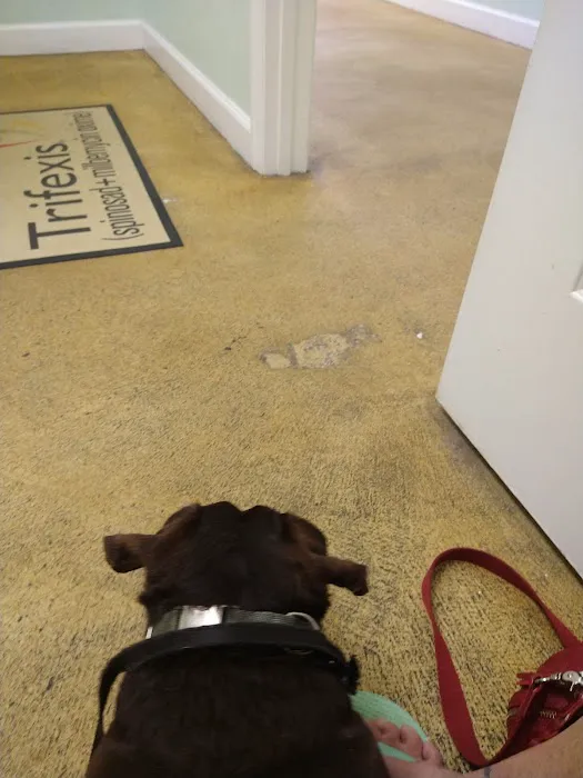 Coastal Paws Veterinary Hospital Picture 5