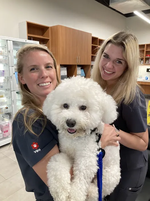 Veterinary Emergency Group Picture 5