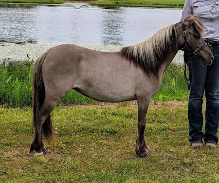Weitz Equine Veterinary Services