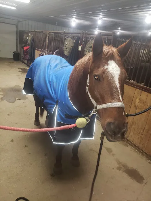 Weitz Equine Veterinary Services Picture 4