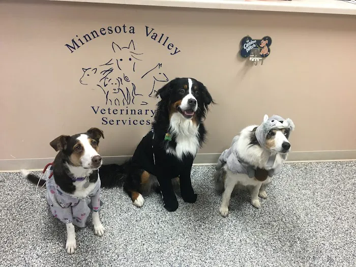Minnesota Valley Vet Services Picture 1