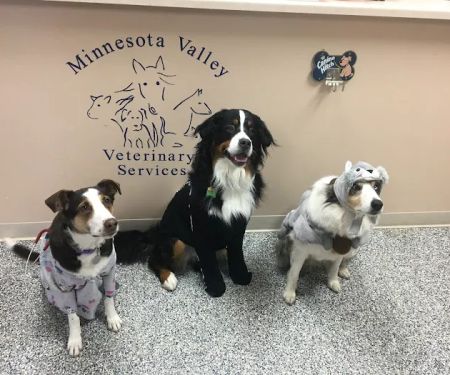 Minnesota Valley Vet Services