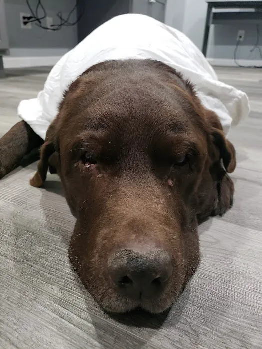 Minnesota Valley Vet Services Picture 7