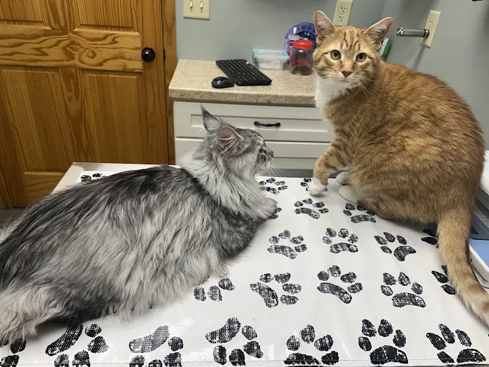 Countryside Animal Hospital Picture 3