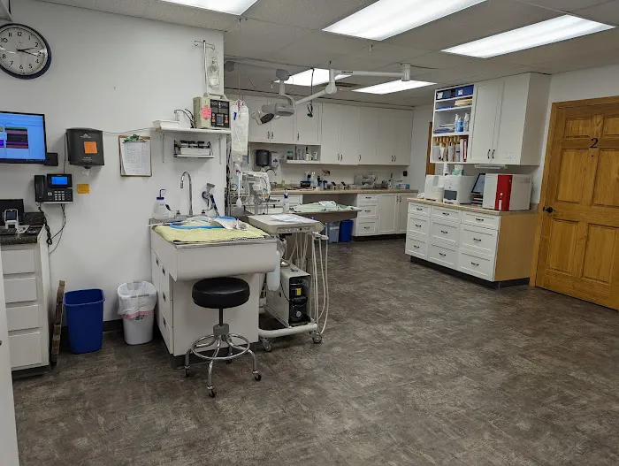 Countryside Animal Hospital Picture 4