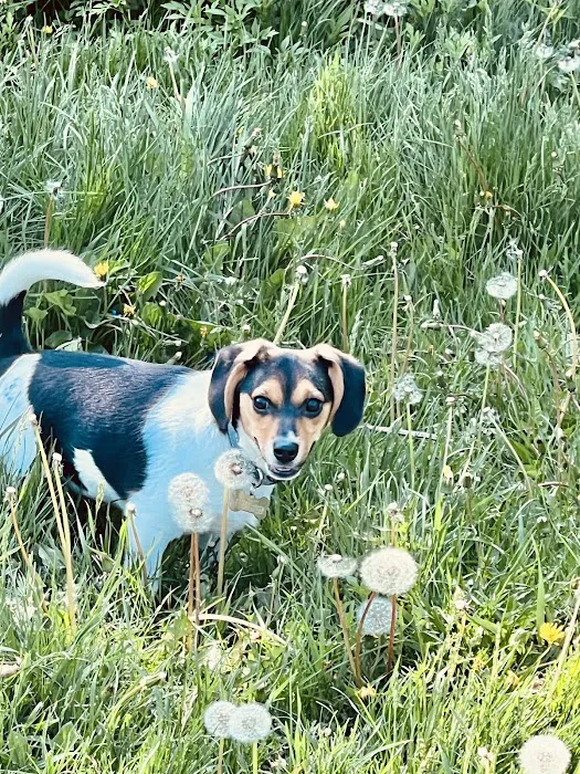 Countryside Animal Hospital Picture 10