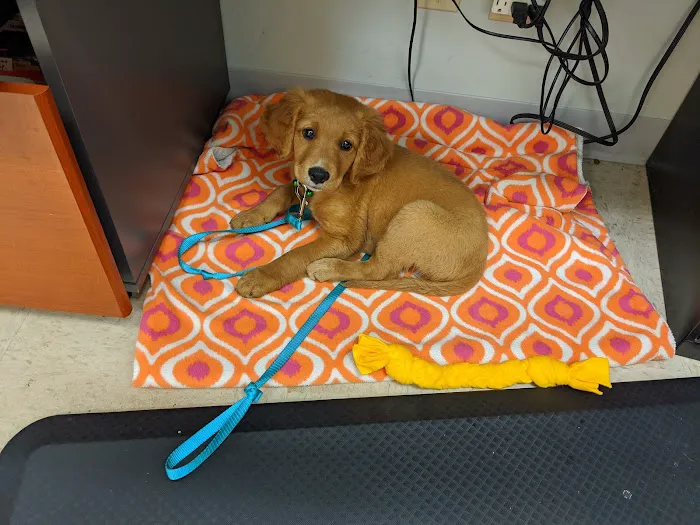 Countryside Animal Hospital Picture 8