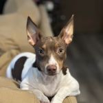 Grantsburg Animal Hospital