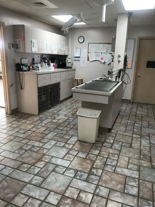 Grantsburg Animal Hospital Picture 3